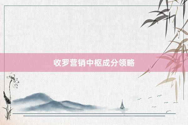 收罗营销中枢成分领略