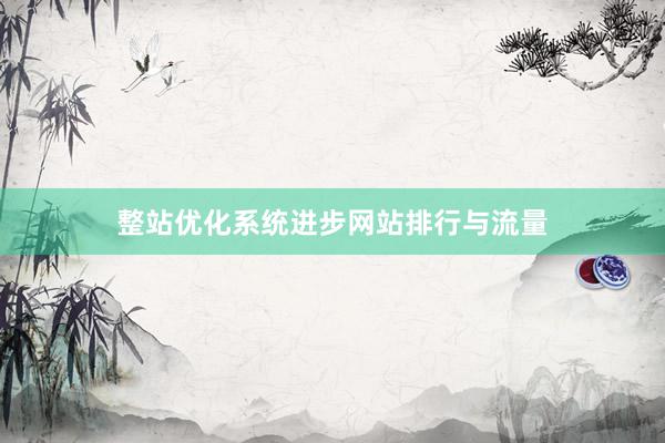 整站优化系统进步网站排行与流量