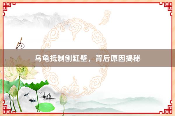 乌龟抵制刨缸壁，背后原因揭秘