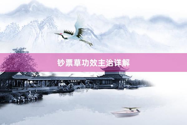 钞票草功效主治详解